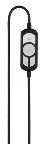 Наушники с микрофоном Hama HS-USB300 черный 2м мониторные оголовье (00139924) фото 3
