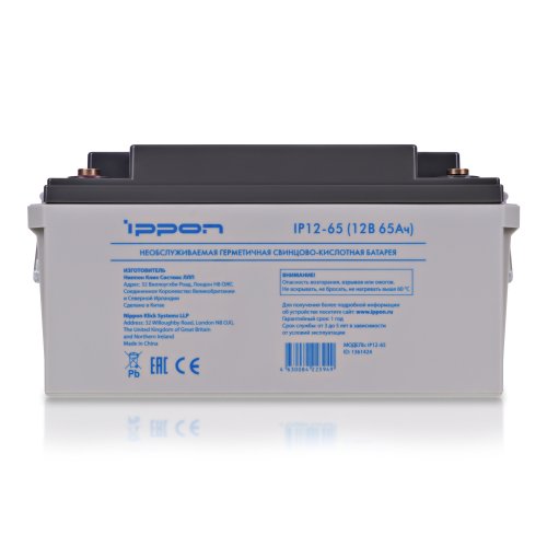 Батарея для ИБП Ippon IP12-65 12В 65Ач фото 3
