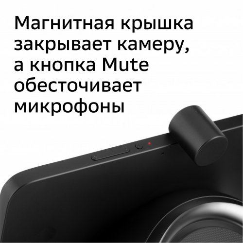 Смарт-дисплей Sber SberPortal голос.п.:Салют 30W черный (SBDV-00010) фото 3