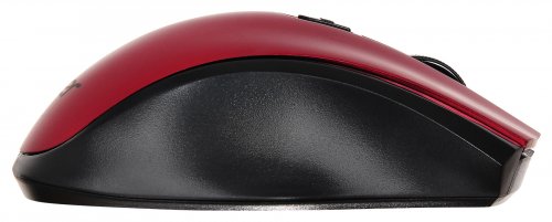 Мышь Acer OMR032 черный/красный оптическая (1600dpi) беспроводная USB (3but) фото 3