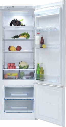 Холодильник Pozis RK-103 серебристый (двухкамерный) фото 2