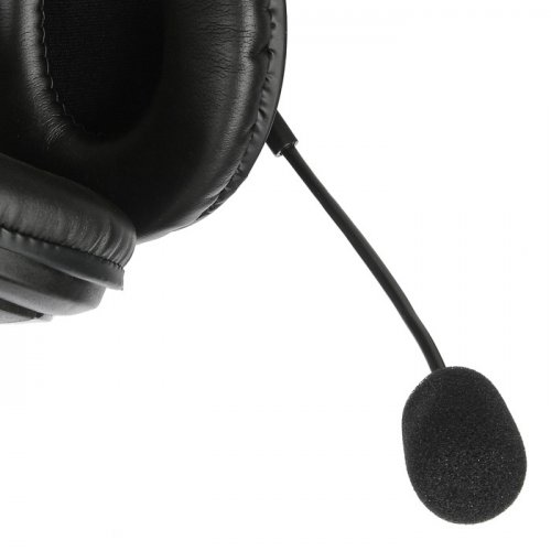 Наушники с микрофоном Оклик HS-M137V черный 1.8м мониторные оголовье (JD750) фото 10