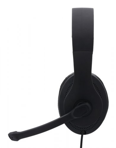Наушники с микрофоном Hama HS-USB300 черный 2м мониторные оголовье (00139924) фото 6