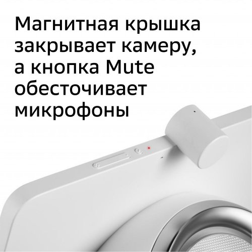 Смарт-дисплей Sber SberPortal голос.п.:Салют 30W белый (SBDV-00010W) фото 3